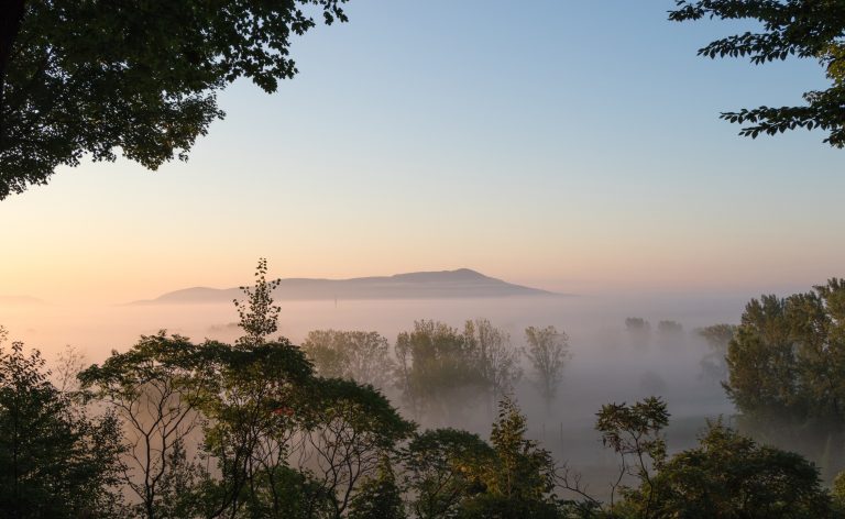Vue Rougemont
