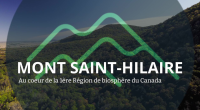 Mont-Saint-Hilaire_Videao_Couleur
