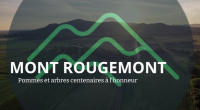 Rougemont_Video_Couleur